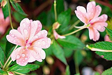 玩家用《街头霸王6》捏出了任天堂知名角色